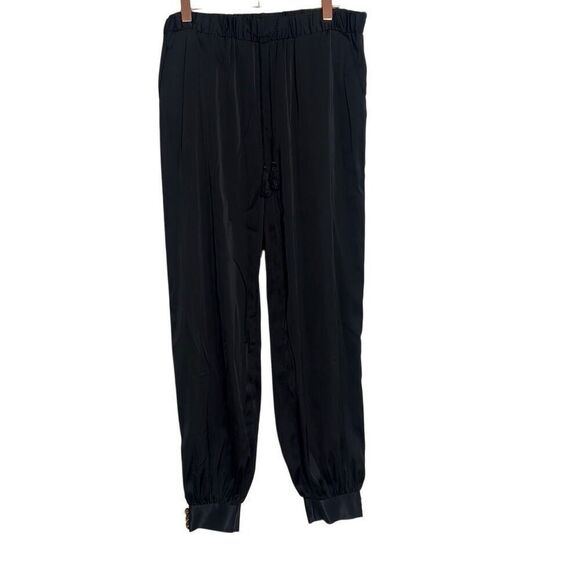 Express Satin Tassel Drawstring Pull On Jogger Pants Black Size Small - Picture 2 of 7
